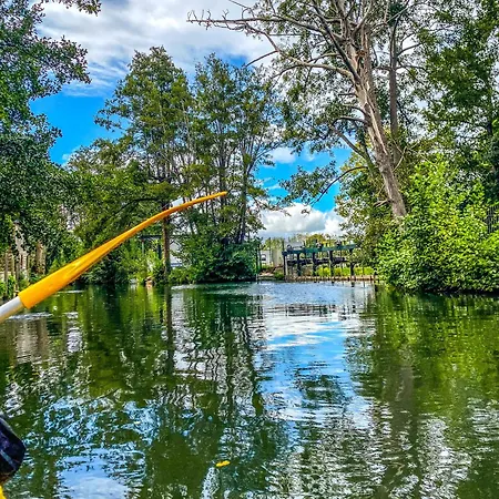 Calypso By Kleidos-gracieux T2 Centre